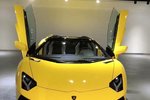 兰博基尼Aventador2018款Aventador S Roadster