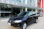 大众Tiguan2009款2.0TSI 豪华版