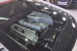 奥迪R82012款5.2 FSI quattro 限量版