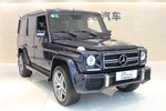 奔驰G级2009款G500