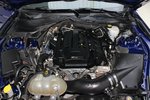 福特Mustang2015款2.3T 性能版