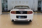 福特Mustang 2013款3.7L 自动标准型 点击看大图