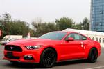 福特Mustang 2015款2.3T 性能版