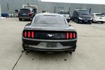 福特Mustang 2016款2.3T 性能版