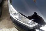 雪铁龙经典世嘉2012款1.6L 手动 品享型