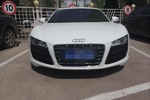 奥迪R82012款5.2 FSI quattro 限量版