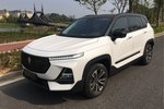 新宝骏RS-52019款1.5T CVT智能驾控旗舰版 国V