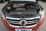 大众Tiguan2009款2.0TSI 豪华版