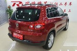 大众Tiguan2009款2.0TSI 豪华版