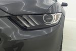 福特Mustang2015款2.3T 性能版