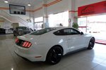 福特Mustang 2015款2.3T 50周年纪念版