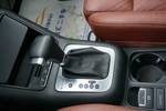 大众Tiguan2009款2.0TSI 豪华版