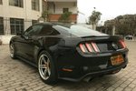 福特Mustang2015款2.3T 50周年纪念版