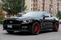 15Mustang"