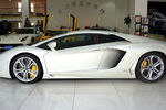 兰博基尼Aventador2012款LP700-4