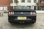 福特Mustang2015款2.3T 50周年纪念版