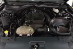 福特Mustang2017款2.3T 性能版