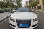 奥迪A5敞篷2010款2.0TFSI 标准版