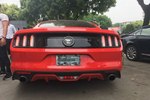 福特Mustang2015款2.3T 50周年纪念版