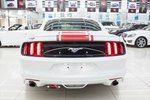 福特Mustang2016款2.3T 运动版