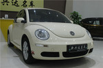 大众甲壳虫2010款1.6L 舒适型