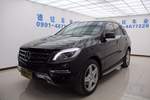 奔驰M级2014款ML400 4MATIC 动感型