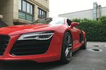 奥迪R82014款4.2 FSI quattro