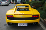 兰博基尼盖拉多2009款LP560-4 Coupe