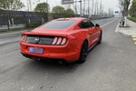 福特Mustang2019款 2.3L EcoBoost