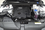 奥迪A4L2013款40 TFSI quattro个性运动型