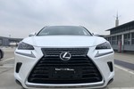 雷克萨斯NX2018款300 前驱 锋行版