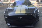 福特Mustang 2015款2.3T 性能版