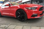 福特Mustang2015款2.3T 50周年纪念版