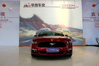 15Mustang"