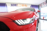 福特Mustang2015款2.3T 性能版