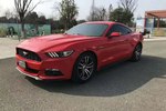 福特Mustang2015款2.3T 50周年纪念版