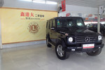 奔驰G级2010款G500