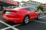 福特Mustang2015款2.3T 运动版