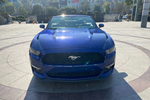 福特Mustang2018款2.3L EcoBoost 点击看大图