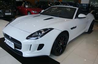 【最便宜1万公里以内捷豹跑车二手车报价】_搜狐二手车,诚信有保障!