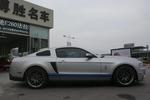 福特野马2012款GT500 手动豪华型