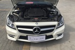 奔驰 CLS级 2012 CLS 300 CGI