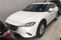 16ԴCX-4"