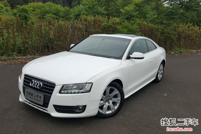 奥迪A5双门2010款2.0TFSI 风尚版